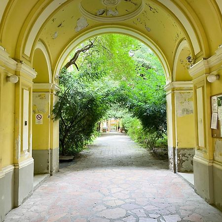 Coente Apartments Kiraly 28 Budapest Exterior foto